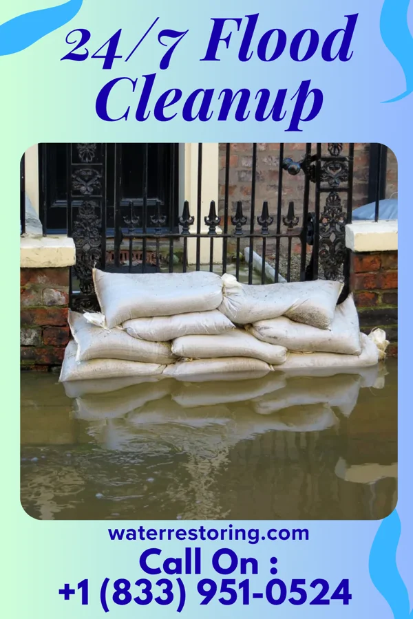 24/7 Flood Cleanup in James Island, SC