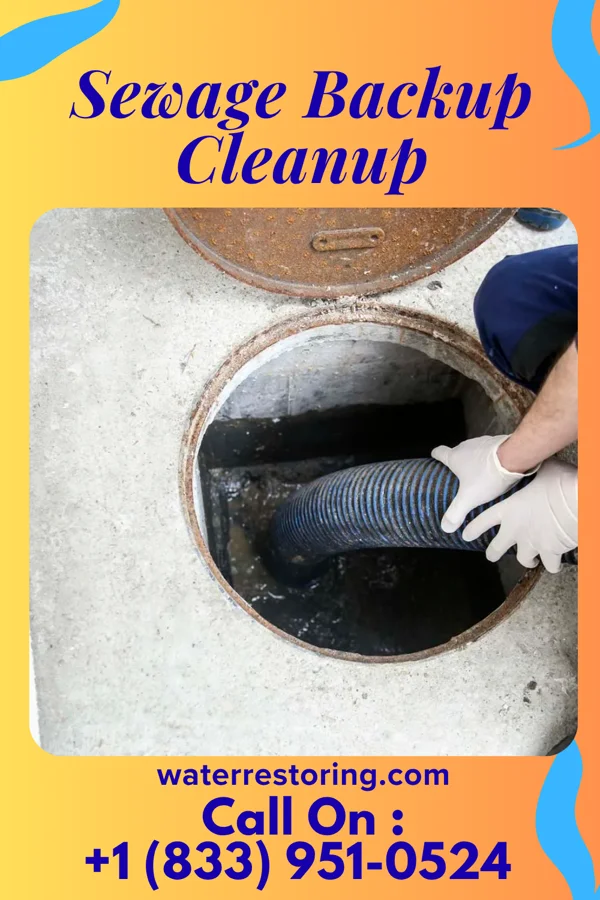 Sewage Backup Cleanup in James Island, SC