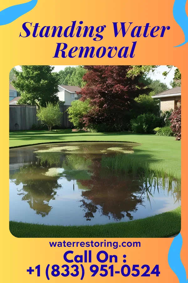 Standing Water Removal in James Island, SC